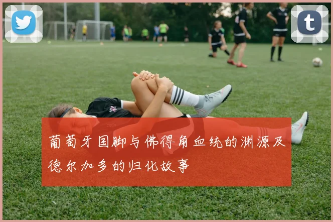 葡萄牙国脚与佛得角血统的渊源及德尔加多的归化故事