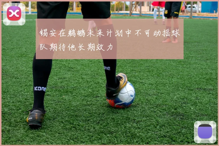 锡安在鹈鹕未来计划中不可动摇球队期待他长期效力